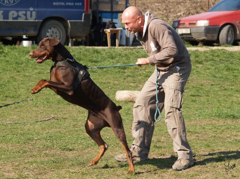 Training 26. 3. 2007